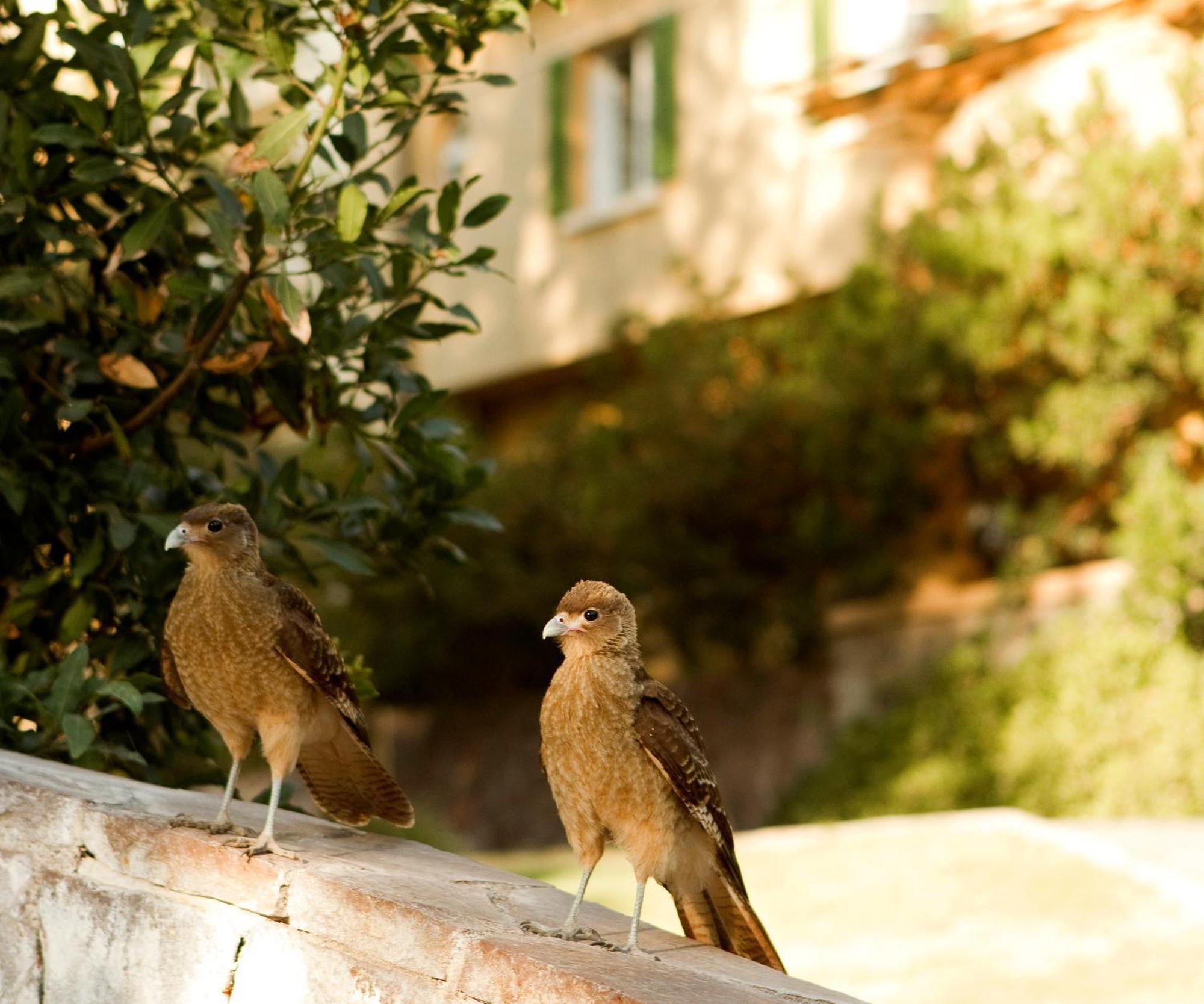 Termas De Jahuel Hotel & Spa Santa María المظهر الخارجي الصورة
